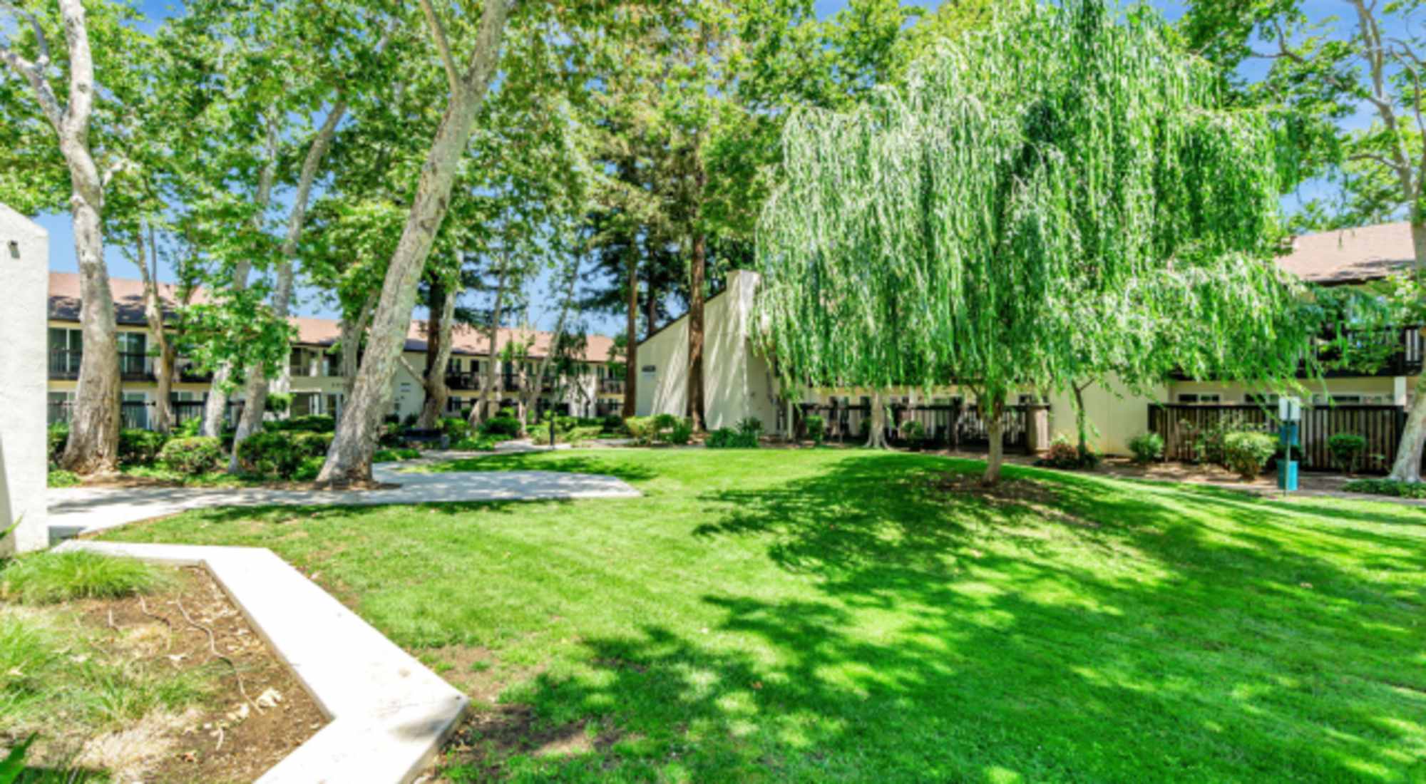 1-bedroom apartment at Clayton Gardens in Concord, CA
