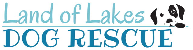 1-bedroom apartment at Lodges At Pinellas Park Apartments in Pinellas Park, FL
