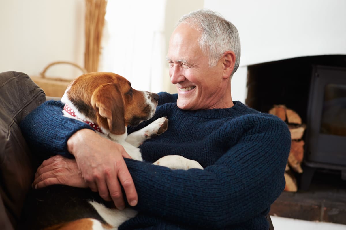 Resident chilling with their beagle at Keystone Place at Terra Bella in Land O' Lakes, Florida