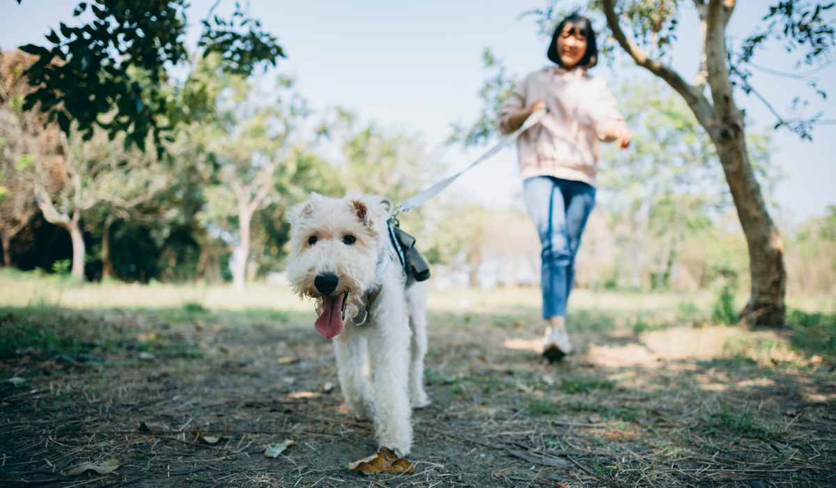 Woman walking outside with her dog near Whispering Pines Ranch in The Woodlands, Texas