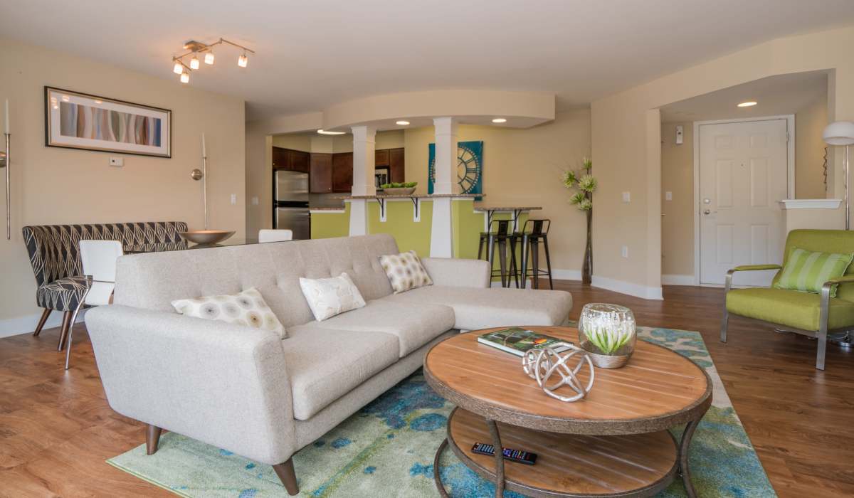 Spacious apartment at The Encore, Alexandria, Virginia