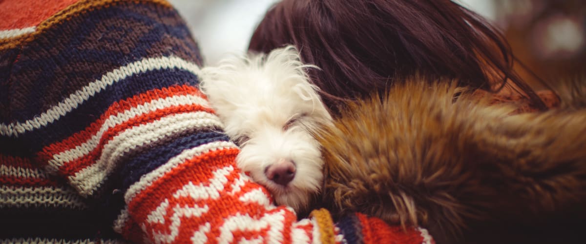 Resident couple cuddling their sleeping dog at The Reserve at Patterson Place in Durham, North Carolina