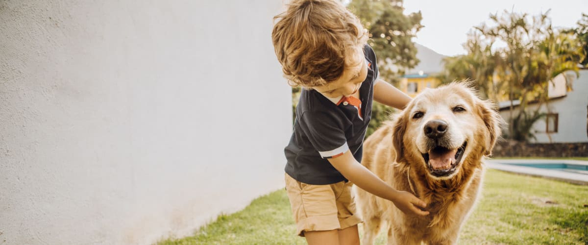 Cute puppy and child smiling for a photo on the grass at Champions Vue Apartments in Davenport, Florida