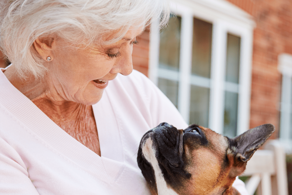 Resident sitting outside with her small french bulldog at The Spring at Silverton in Fort Worth, Texas