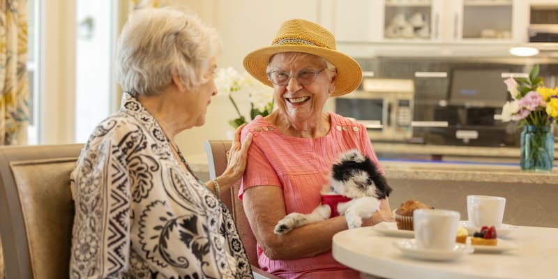Two residents enjoying coffee with a dog in the lap of one resident at Glenncrest at Johns Creek in Johns Creek, Georgia