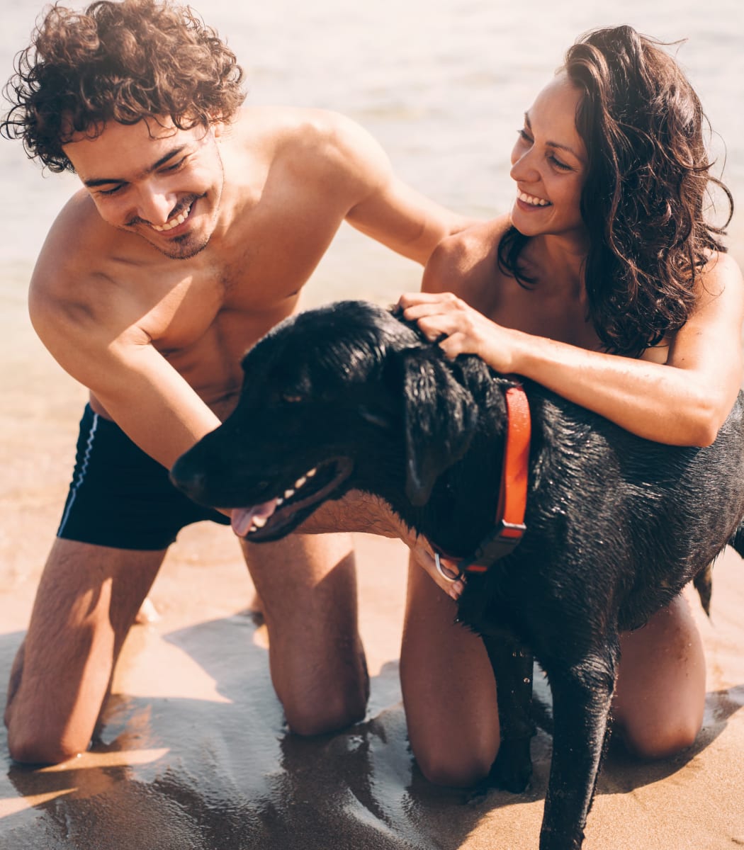 Residents and their dog playing at the beach near Aliro in North Miami Beach, Florida