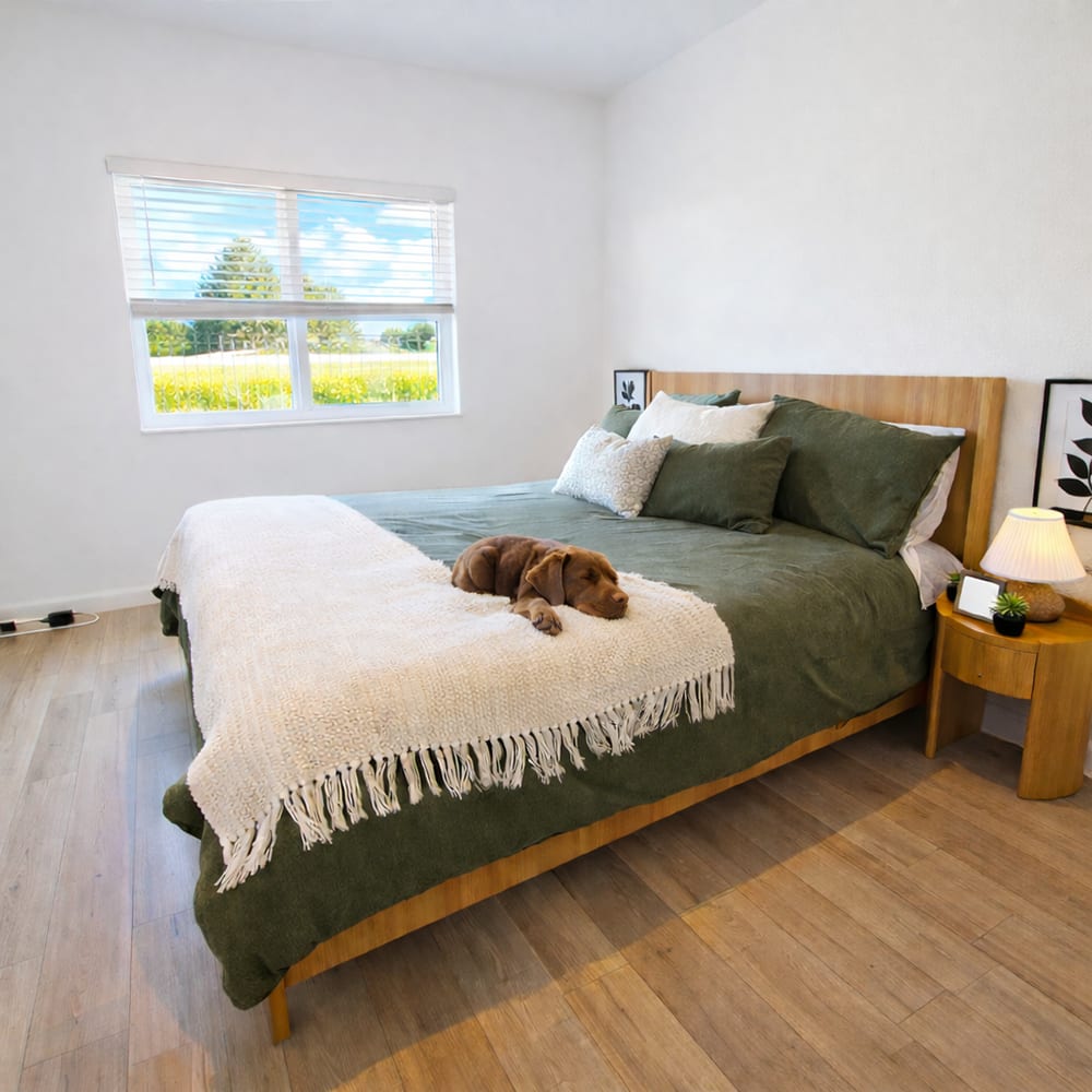 Dishwasher at Viva at New Smyrna Beach in New Smyrna Beach, Florida