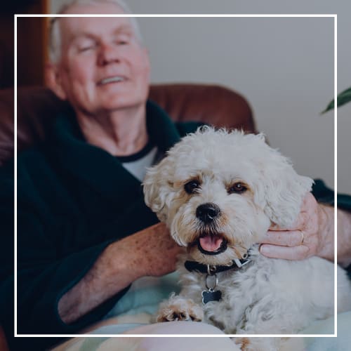 Learn more about Supportive Independent Living at MerryWood on Park in Charlotte, North Carolina