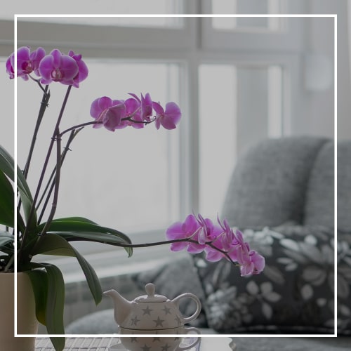 Learn more about our floor plans at MerryWood on Park in Charlotte, North Carolina