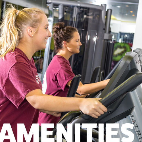 View Amenities at Beacon Springfield in Springfield, Missouri