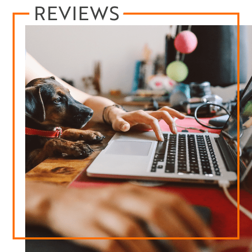 View our Reviews of Your Storage Units Mauldin Road in Greenville, South Carolina