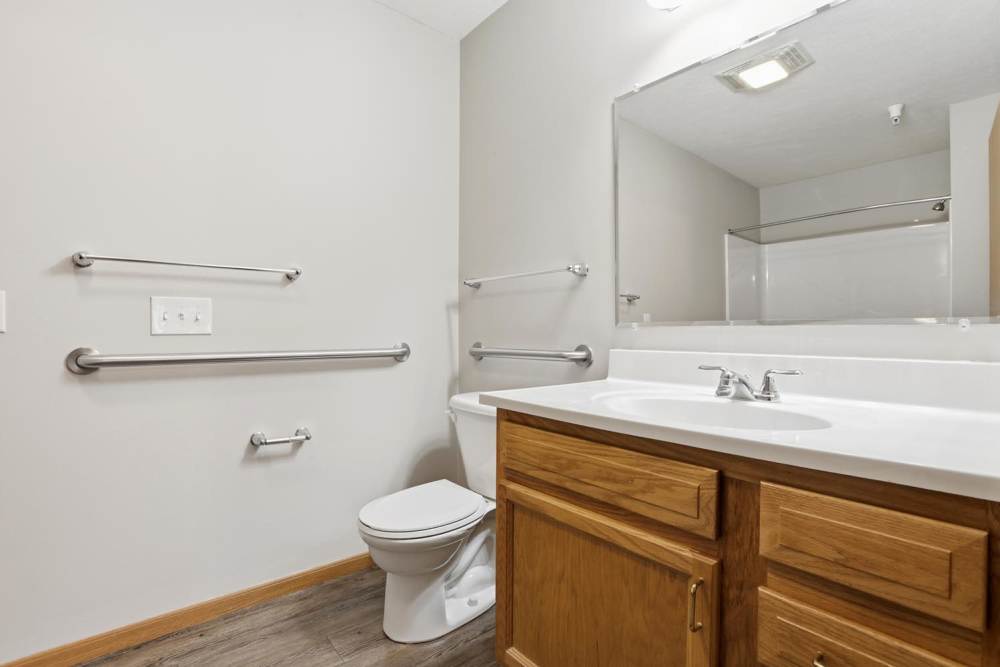 Accessible bathroom with grab bars, vanity sink, and wood-style flooring at Norwood Greene Senior Living in Marietta, Ohio