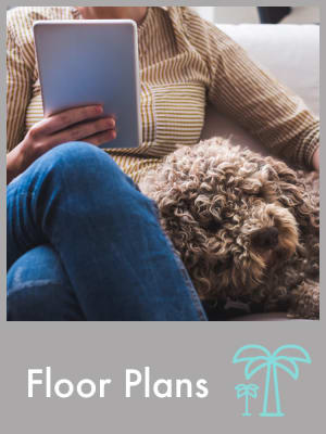 East Las Vegas Nv Apartments For Rent Avion At Sunrise Mountain