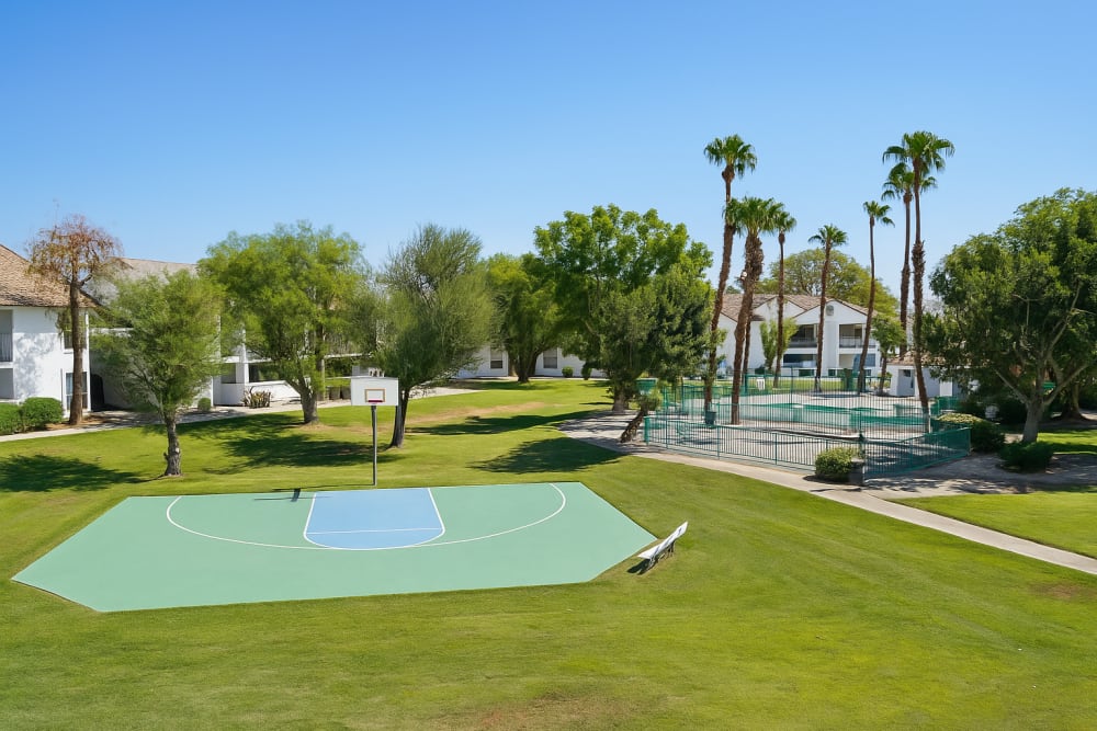 Basketball Court