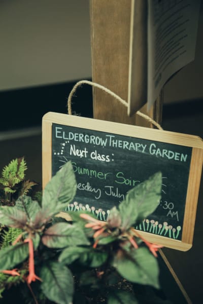 Gilbert Memory Care Near Mesa Quail Park At Morrison Ranch