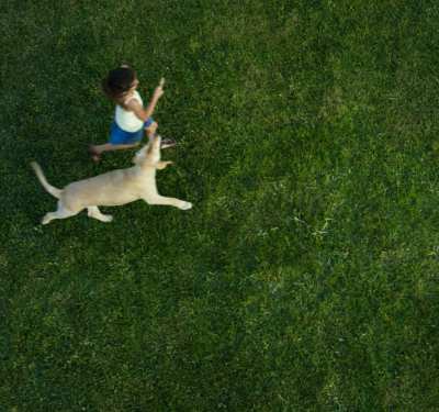 Woman playing with her dog in a lush green grassy field near Greece Commons Apartments in Rochester, New York