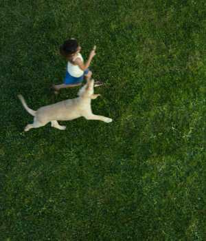Woman playing with her dog in a lush green grassy field near Andover Park in Valparaiso, Indiana