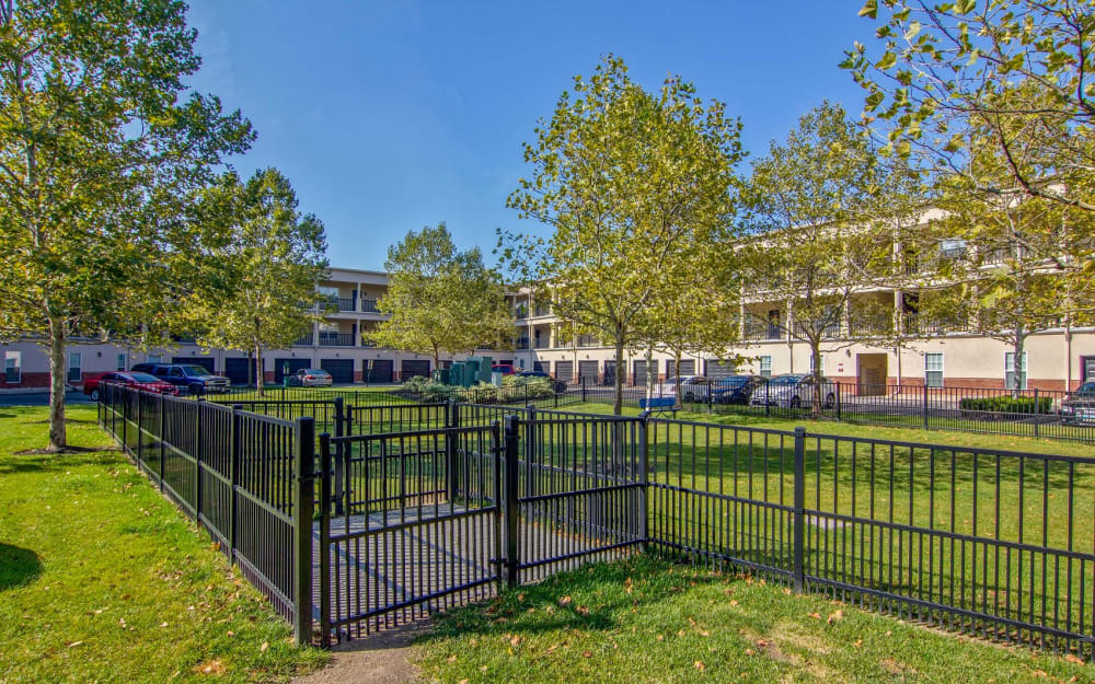 Fenced dog park at Easton Commons Apartments & Townhomes in Columbus, Ohio