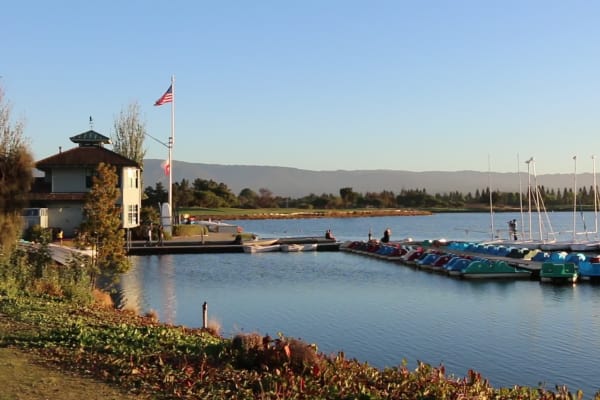 Recreation near The Shadows Apartments