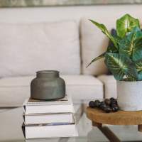 Modern books and plant decorations at a Sequoia property