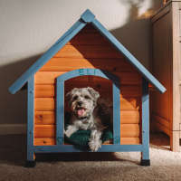 Residents dog sitting in it's doghouse at a Sequoia community