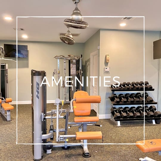 View amenities at The Abbey at Grant Road in Houston, Texas