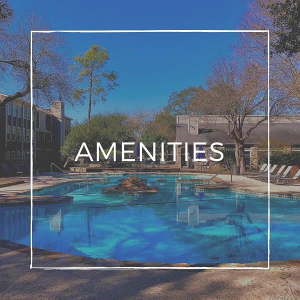View our amenities at The Abbey At Enclave in Houston, Texas
