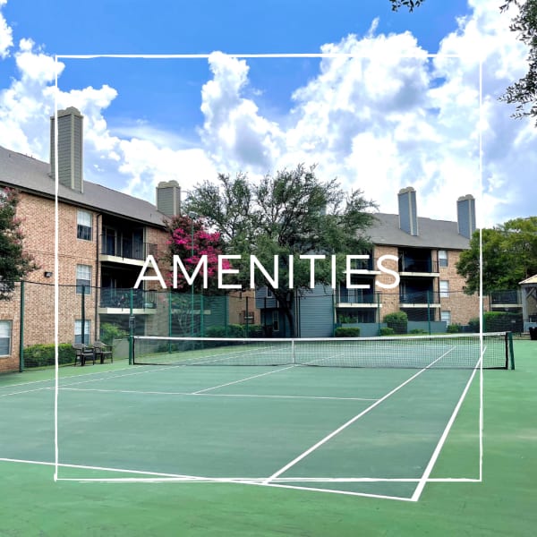 View amenities at The Abbey at Copper Creek in San Antonio, Texas