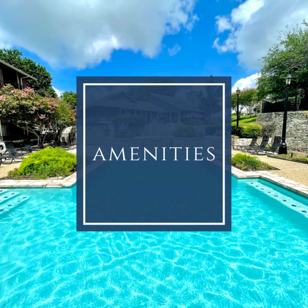View amenities at The Abbey at Medical Center in San Antonio, Texas