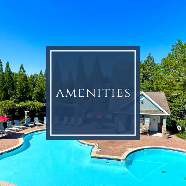 View our amenities at The Abbey at Eagles Landing in Stockbridge, Georgia