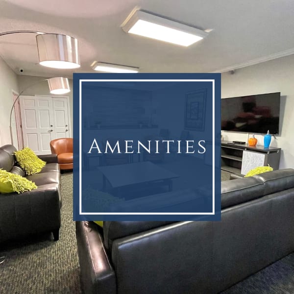 View amenities at The Abbey at Regent's Walk in Homewood