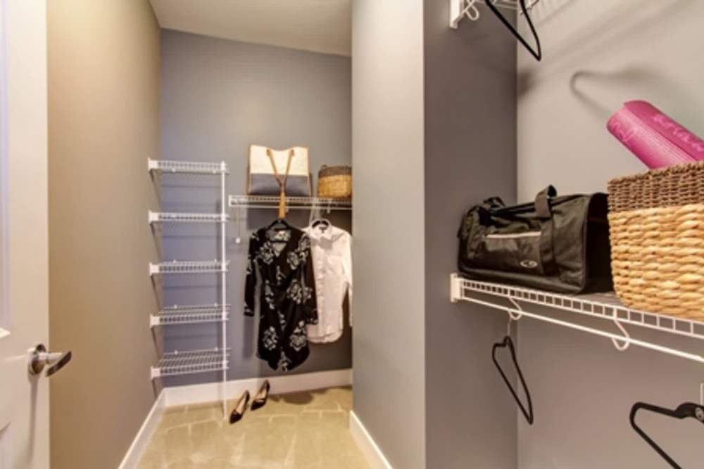Walk - In - Closet at The Elms at Signal Hill Station in Manassas, Virginia