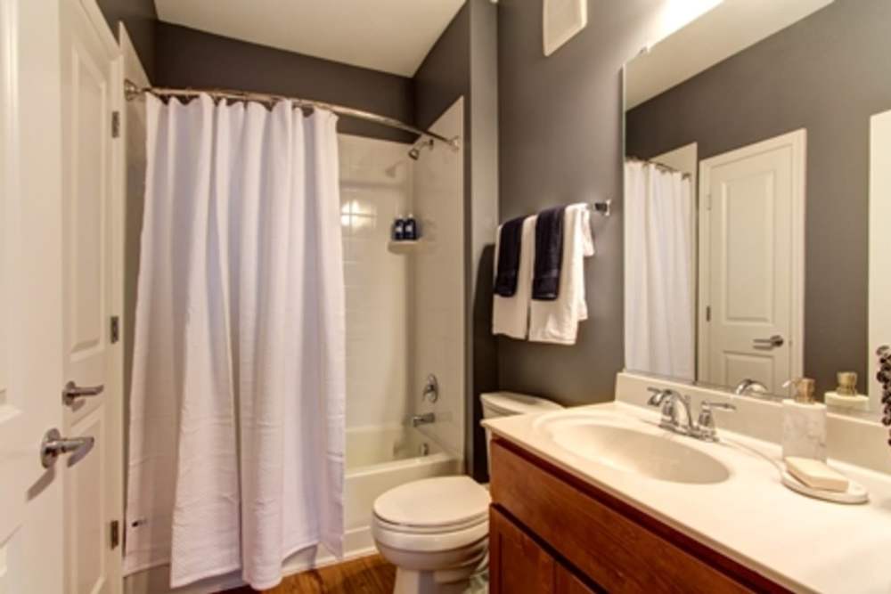 Bathroom with Bathtub at The Elms at Signal Hill Station in Manassas, Virginia