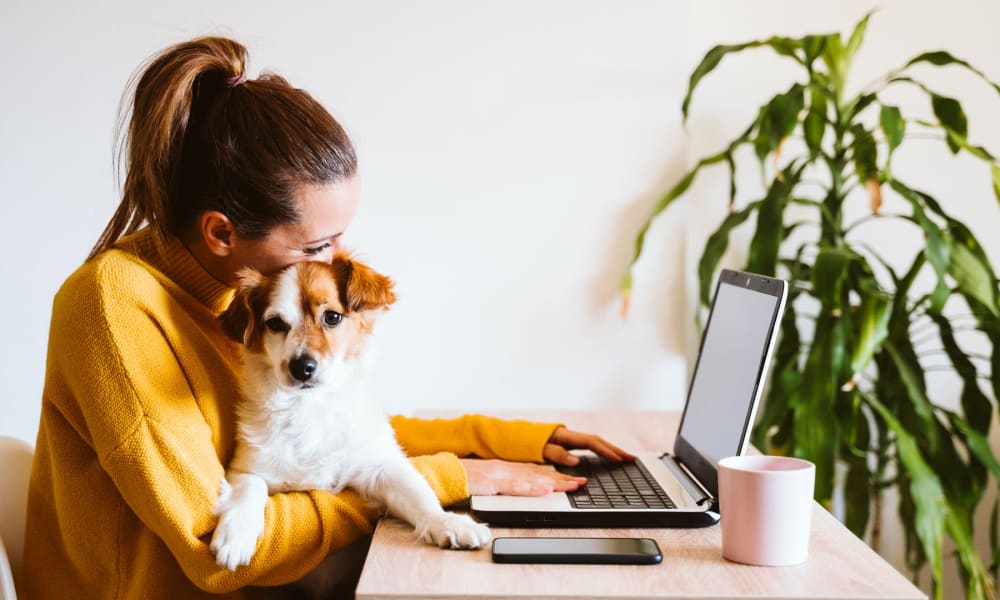 Happy pup on his owner's lap while she works on her laptop in their apartment home at Oaks White Rock in Dallas, Texas