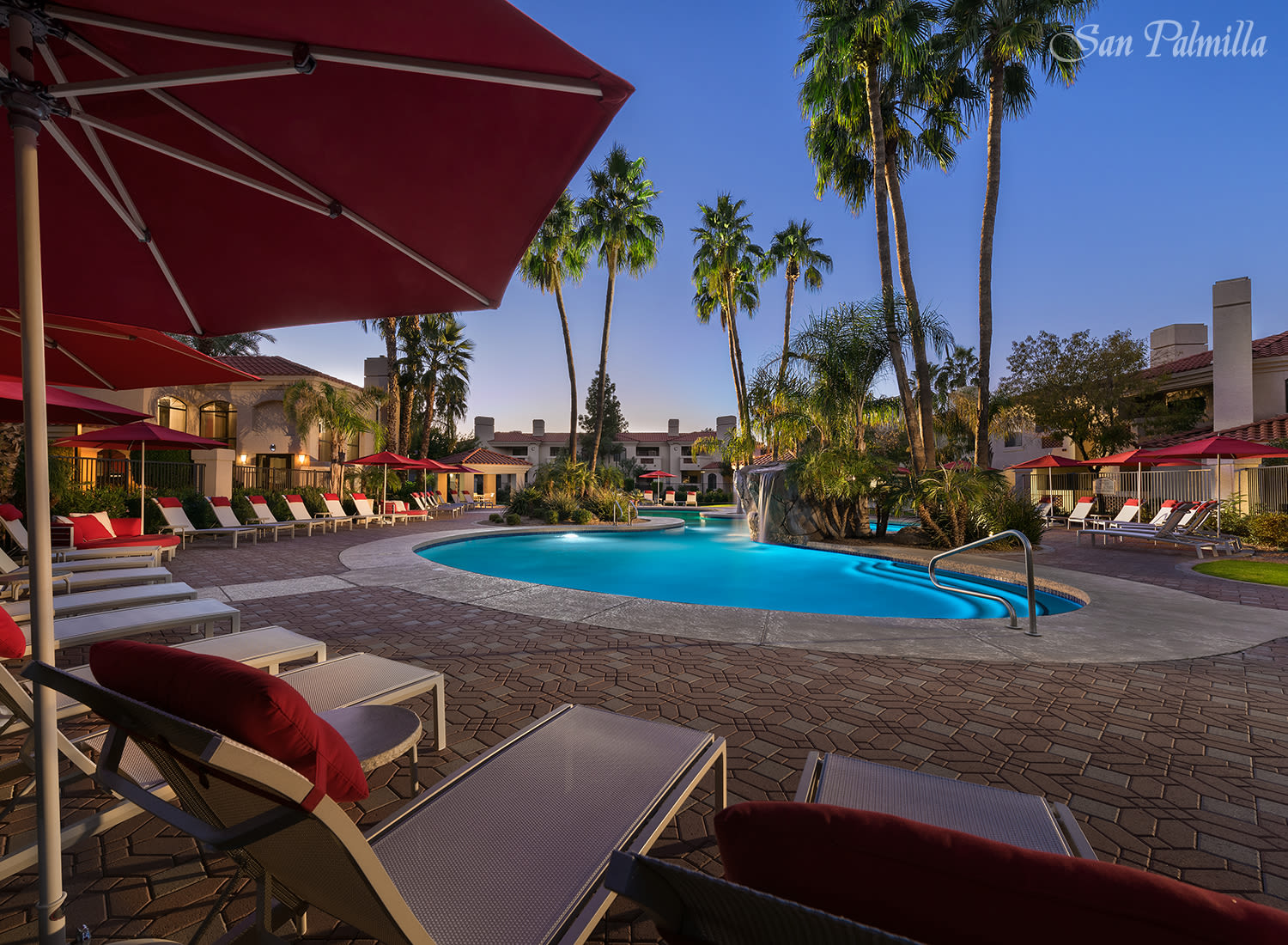 Tempe Pet Friendly Communities Pet Friendly Apartments