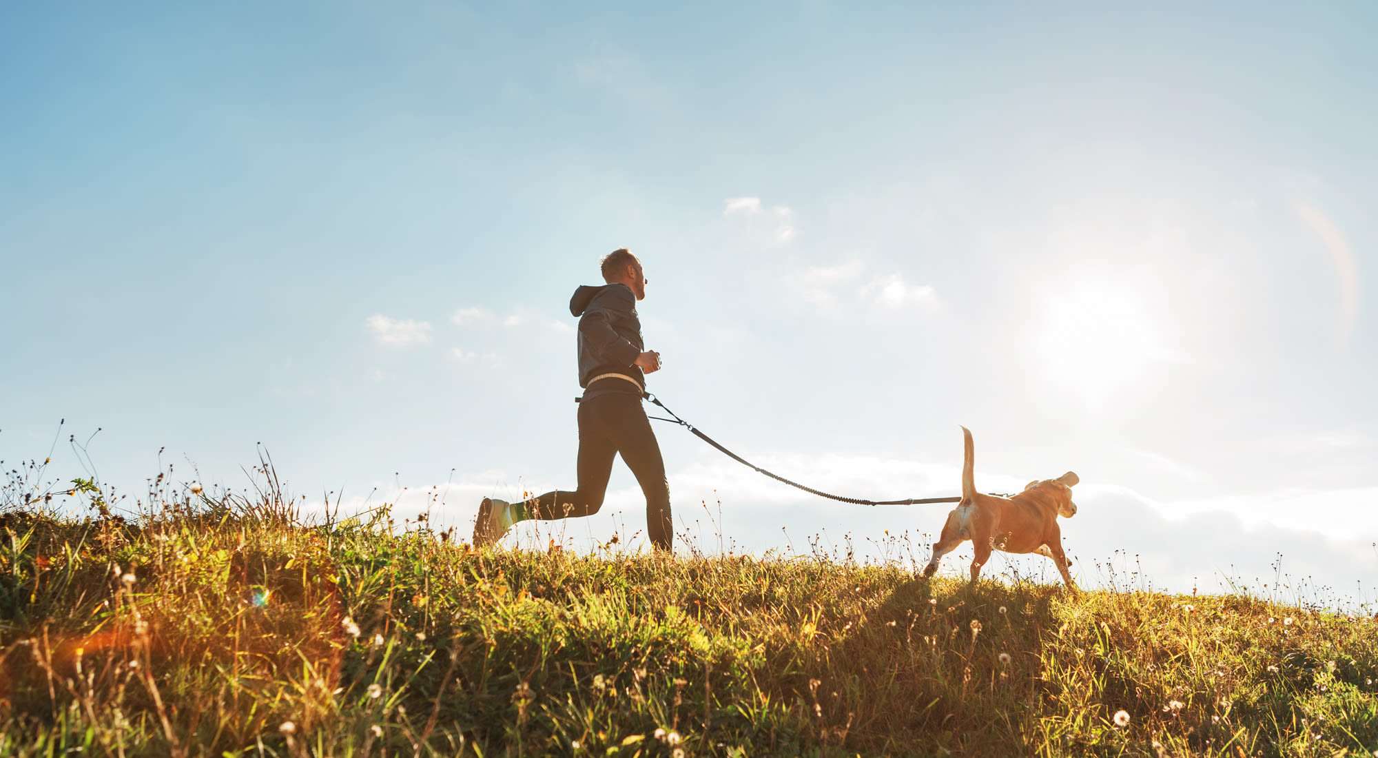 Pet Friendly | Station 3700 in Euless, Texas