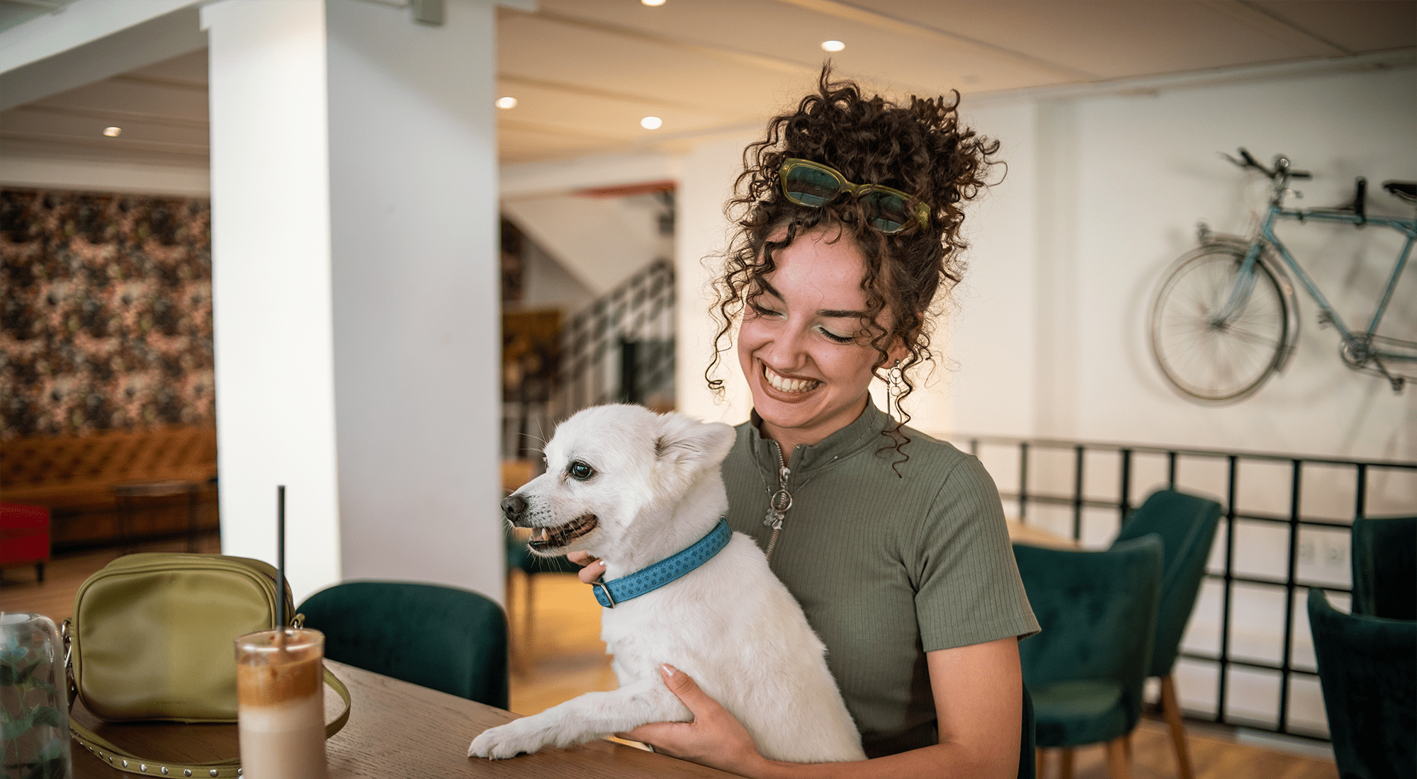 Pet Friendly | Koz on 13th in Portland, Oregon