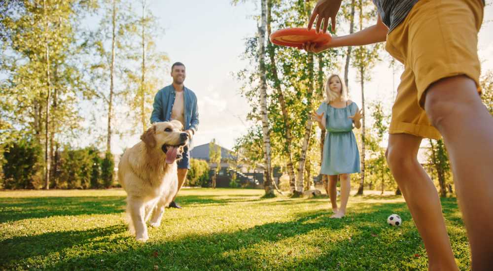Residents playing in a park near Castlebar Apartments in Bozeman, Montana