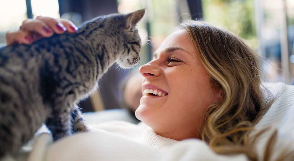 Happy cat playing with resident at Madison at Schilling Farms in Collierville, Tennessee