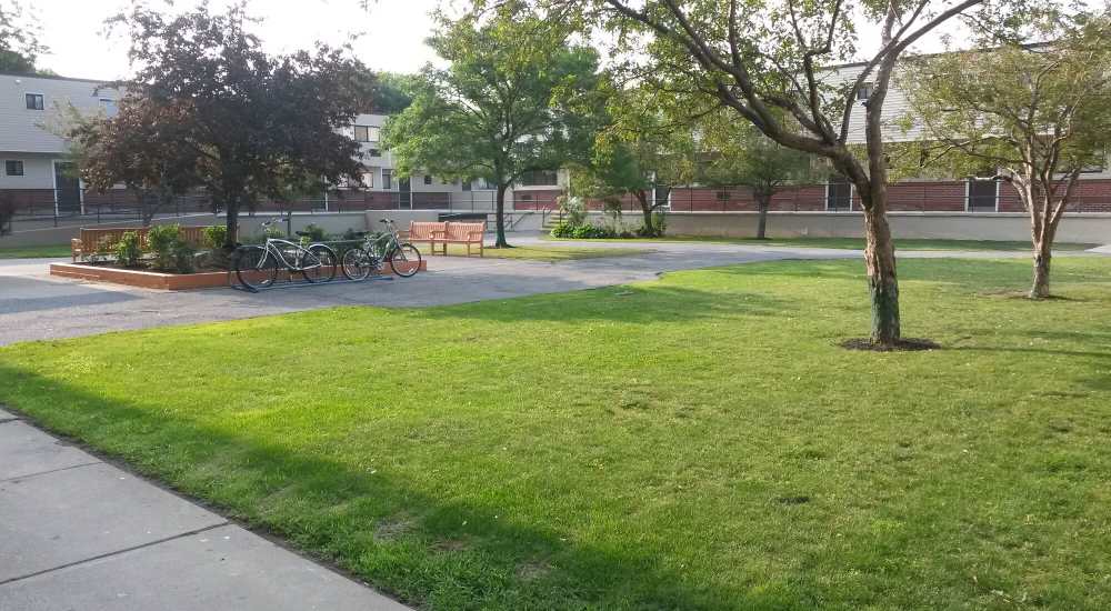 Beautiful green lawn near Los Flamboyanes in Rochester, New York