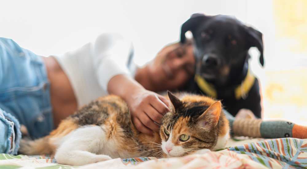 Resident with her pets in her pet friendly apartment at Waverly Place in Louisa, Virginia