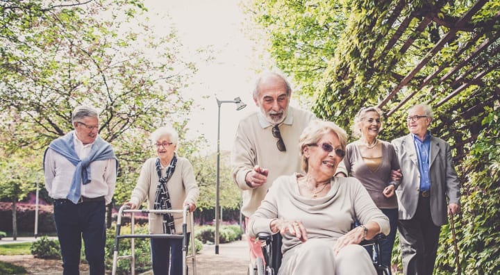 Group of seniors walking together in the park