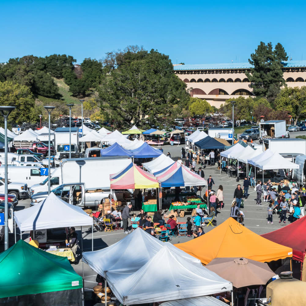 Bustling farmers market near Mission Rock at San Rafael in San Rafael, California