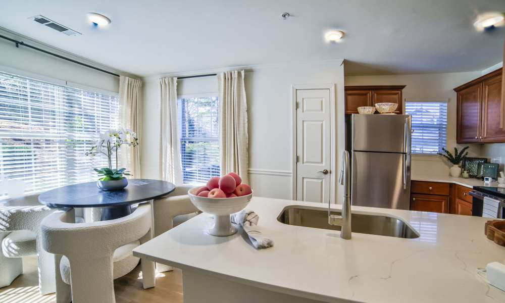 Model living space with large rug Avonlea Towne Lake in Woodstock, Georgia