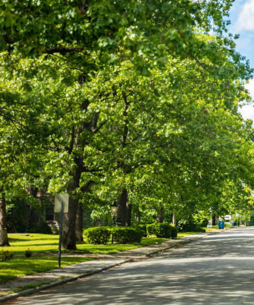 Nearby park at Kirkman Terrace in Hopkinsville, Kentucky