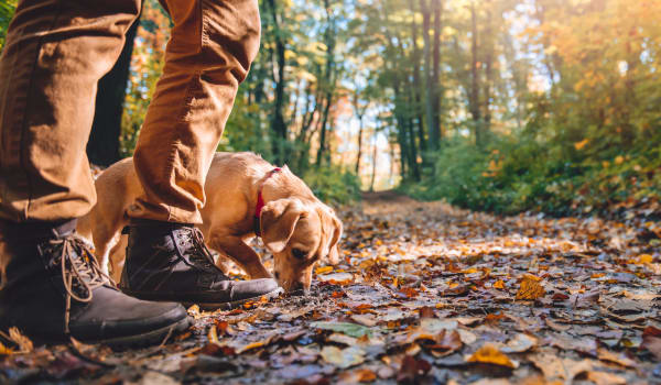 Resident and his puppy enjoying the location river trail by 220 West Townhomes in Augusta, Georgia