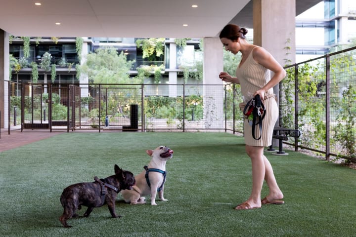 Woman with her dog at {{location_name}} in {{location_city}}, {{location_state_name}}