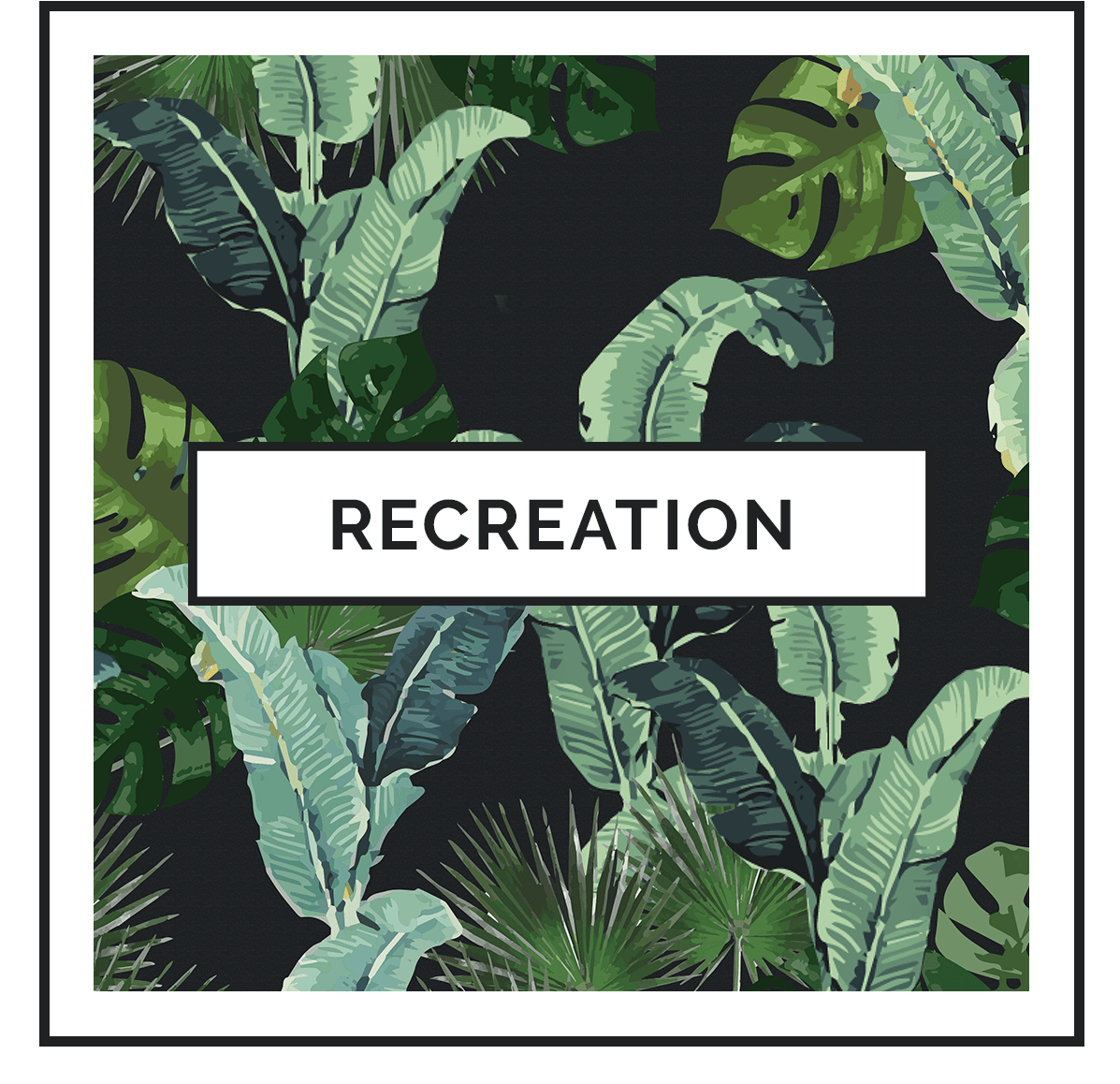 Recreation near The Wayland in St Petersburg, Florida