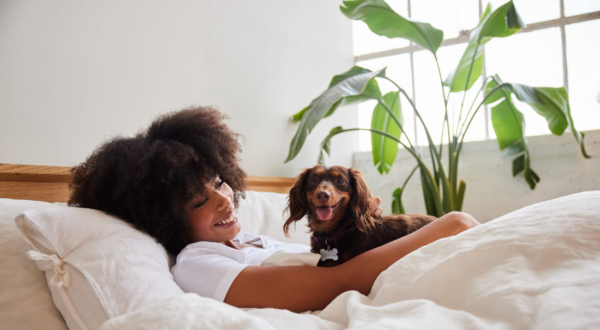 Pet Friendly | Rugby Square Apartments in Syracuse, New York