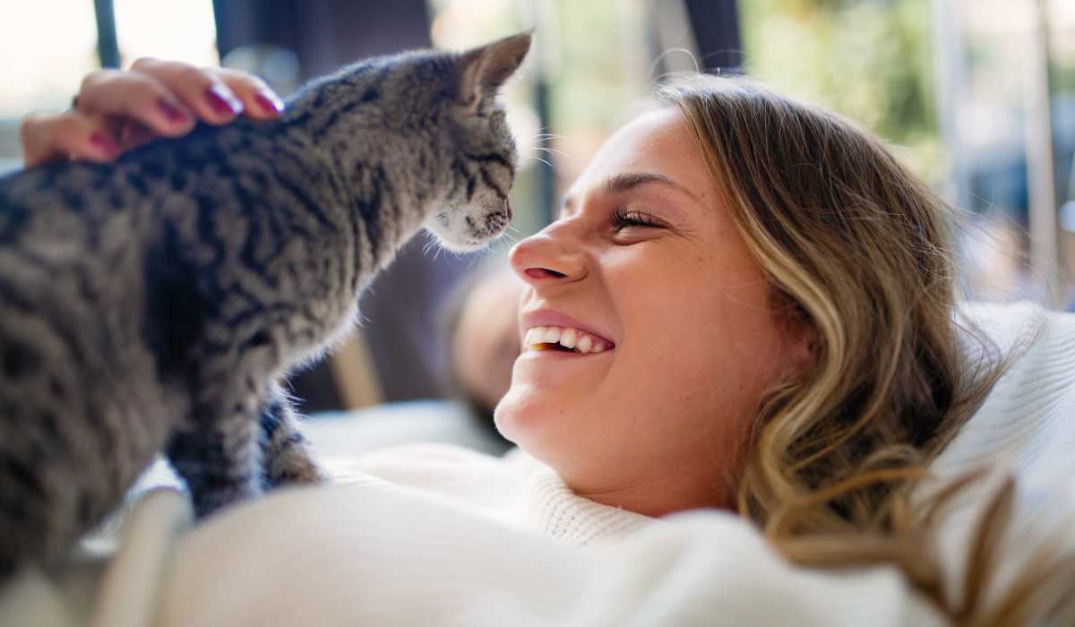 A pet cat being pampered by its owner at UTE Creek Apartments in Longmont, Colorado